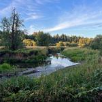 Salmon Creek Greenway Trail
