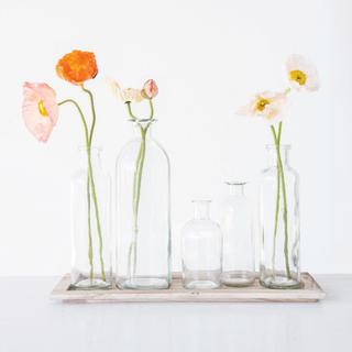 5-Piece Vintage Bottle Vase Set