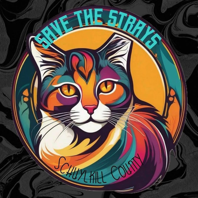 Save the Strays