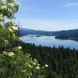 Hike nearby trails!