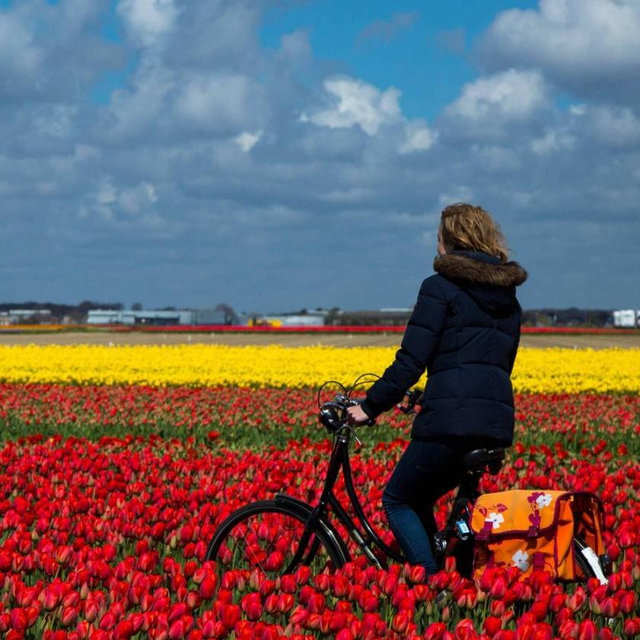 Cycling in the Netherlands