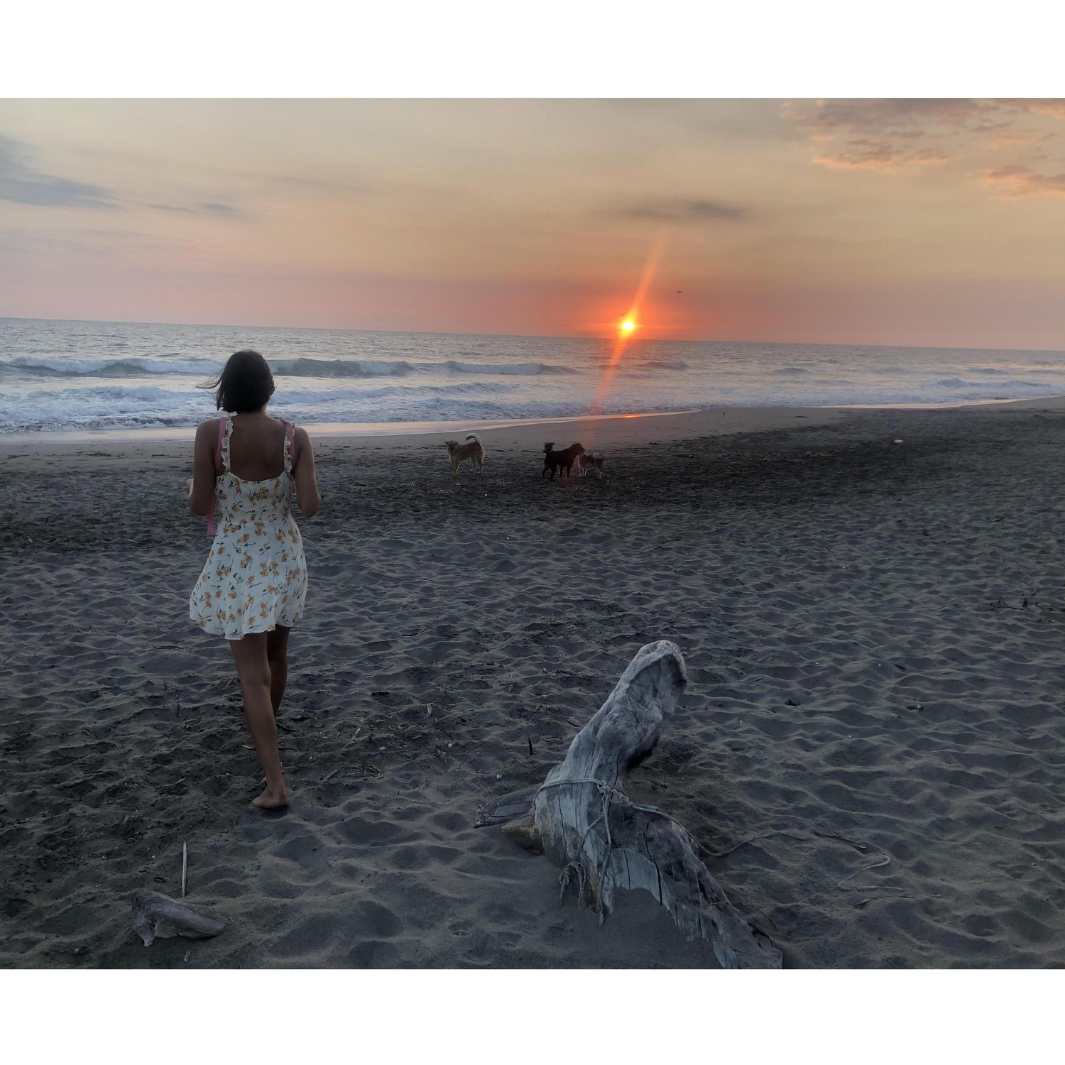 Boca Del Cielo, Chiapas with our fur babies :)