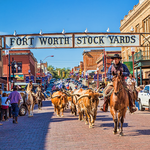 The Stockyards