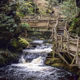 Bushkill Falls