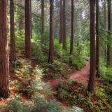Hoyt Arboretum