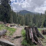 Nez Perce-Clearwater National Forest