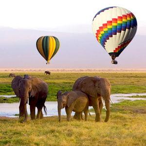 Honeymoon African Safari Hot Air Balloon Ride