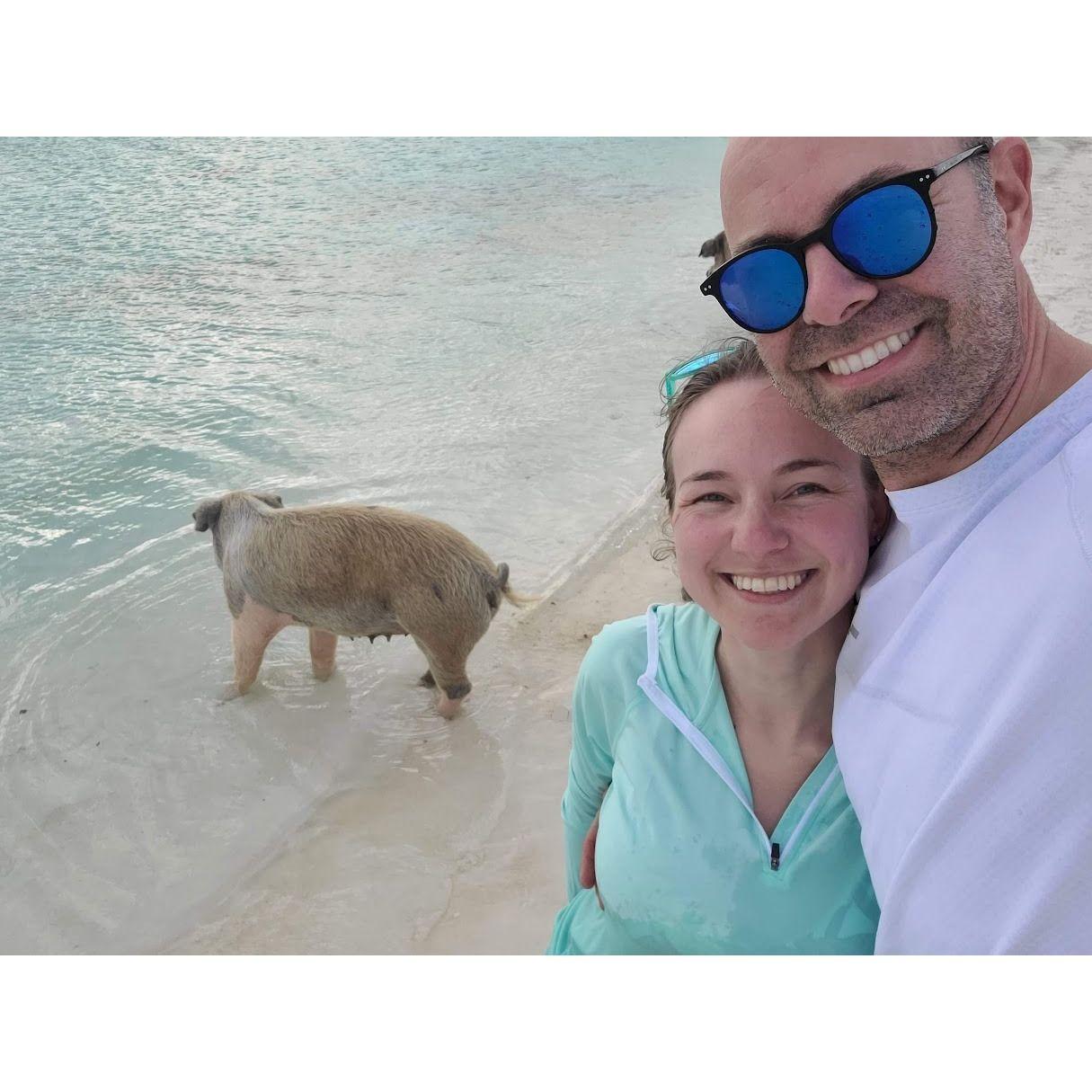 The Pigs in the Bahamas were one of my favorite experiences.