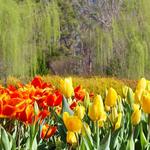The State Botanical Garden of Georgia