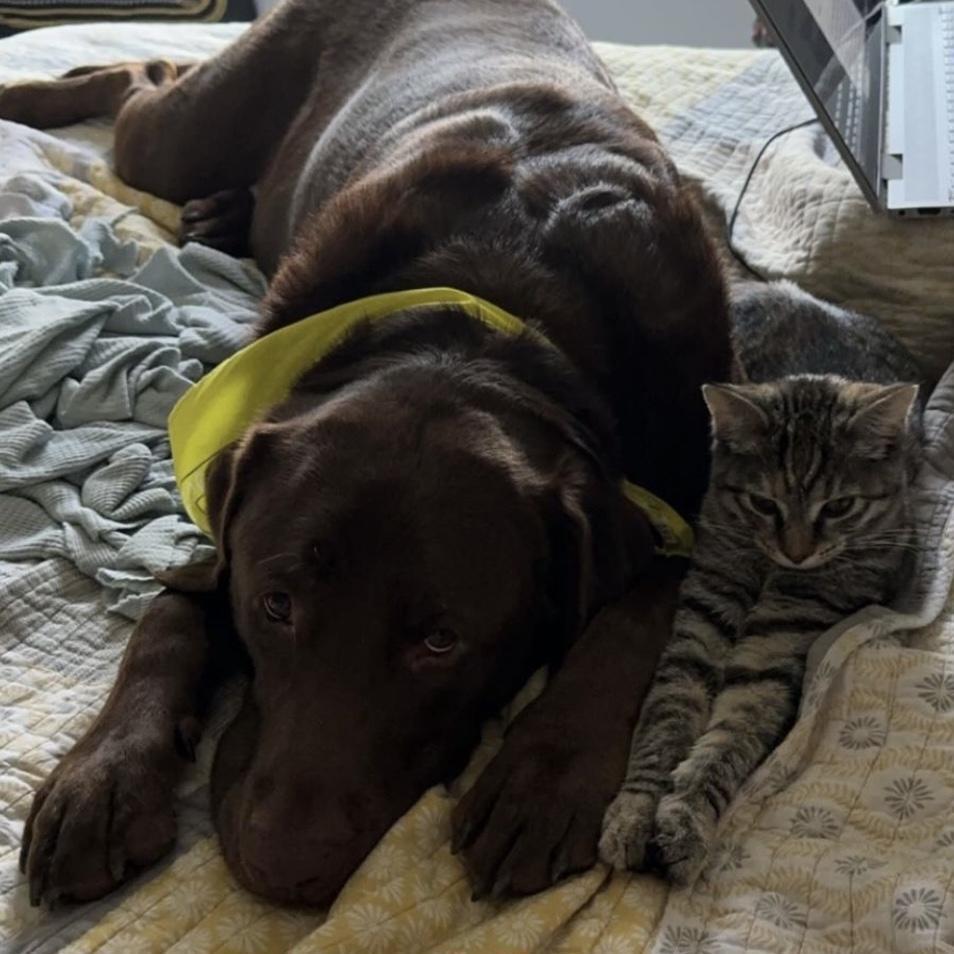 frankie is obsessed with her big brother carson.