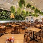 Alcove Madtree Brewing