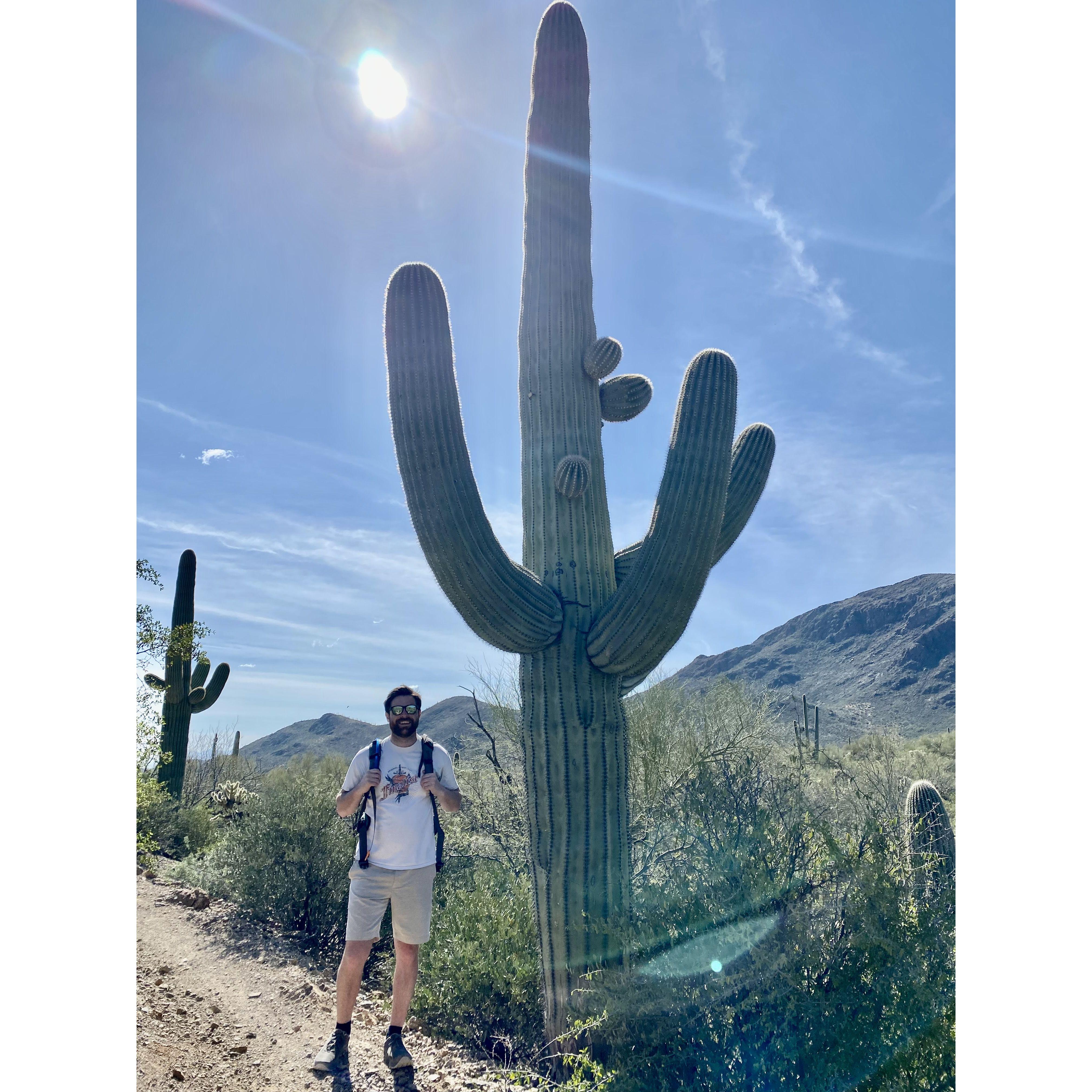One of the many cactus pictures