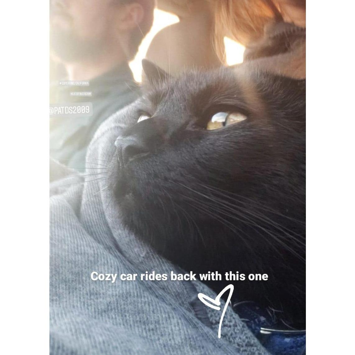 Car ride with Jedi