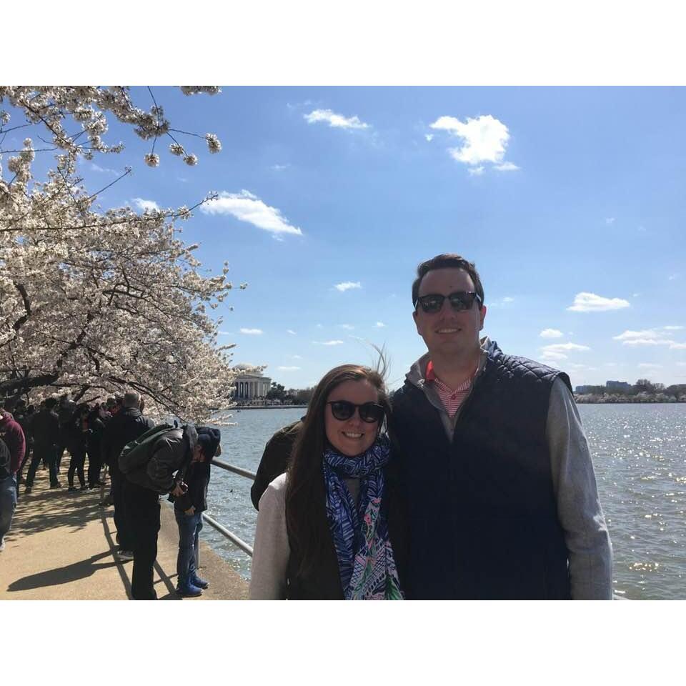 Cherry Blossom Festival, Tidal Basin
Washington, D.C.