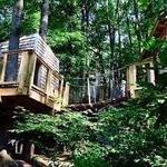 Museum of Life and Science