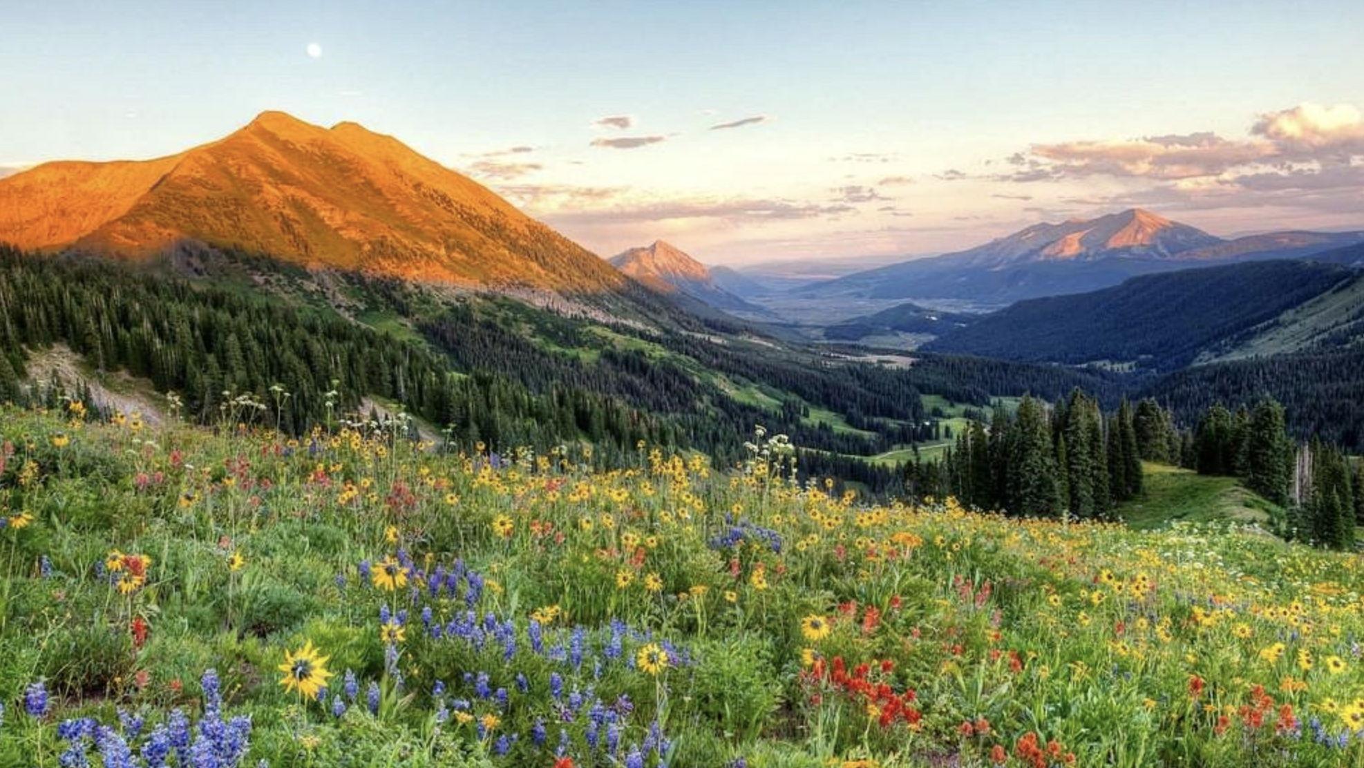 The Wedding Website of Gregory Kelly and Emily Echelberry