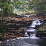 Activities at Promised Land State Park