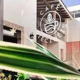 Café Dieciséis