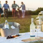 Newport Vineyard