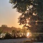 Splish-Splash in the Danube River