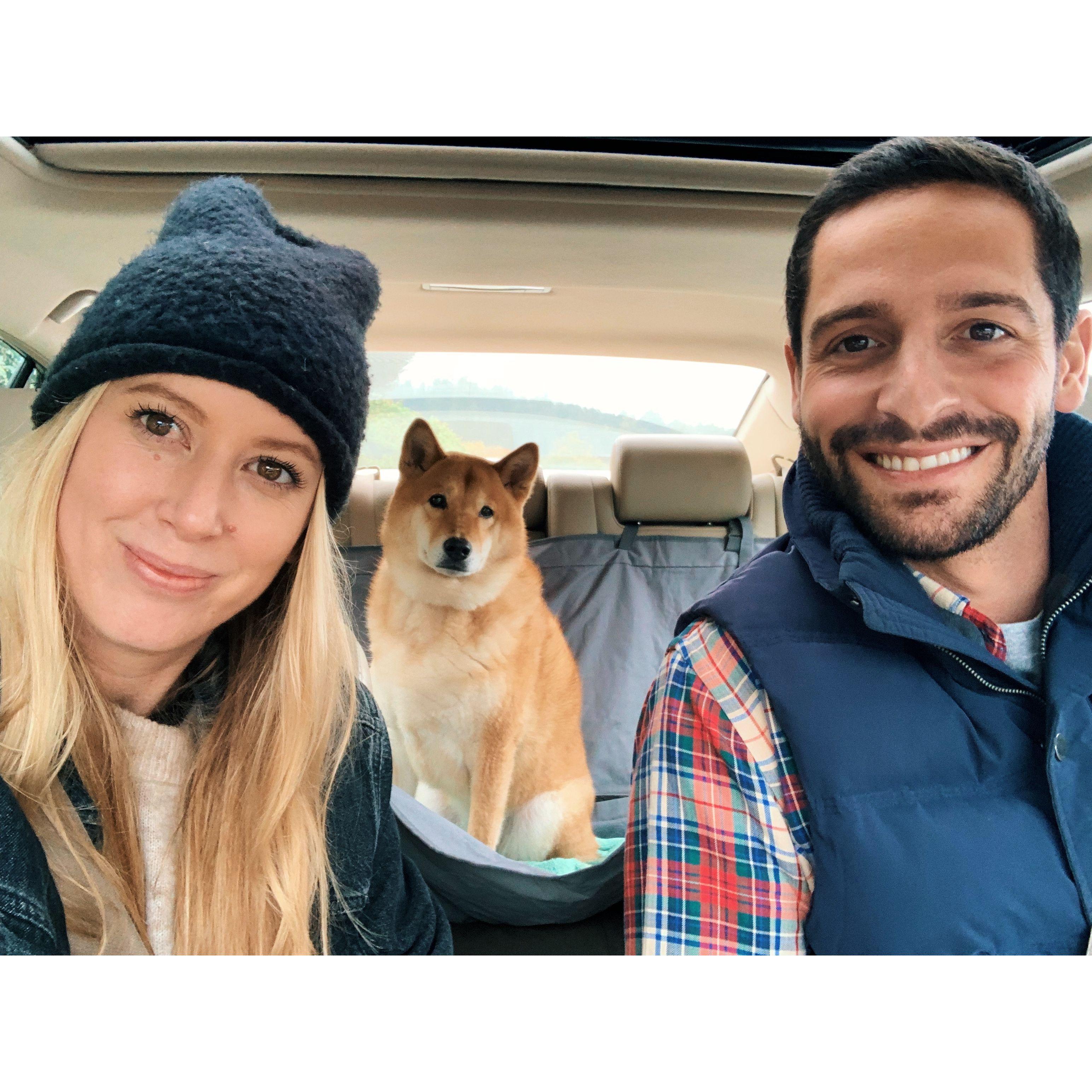 First family portrait 🦊