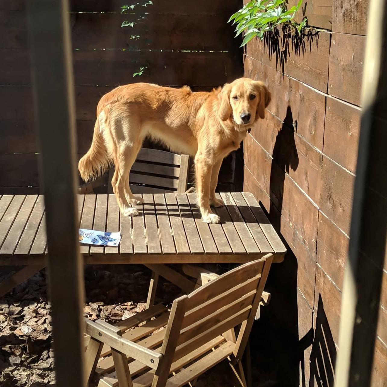 This photo dated August 20, 2020 is what started our story together. We were friends in 2018 but this photo is the excuse Andrew used to slide into Shelby's DMs. The rest of our story is as follows.