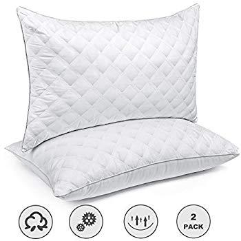  DreamNorth Premium Gel Pillow Loft (Pack of 2) Luxury