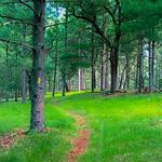 Ice Age Trail - Wedde Creek Segment