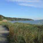Discovery Park Loop Trail