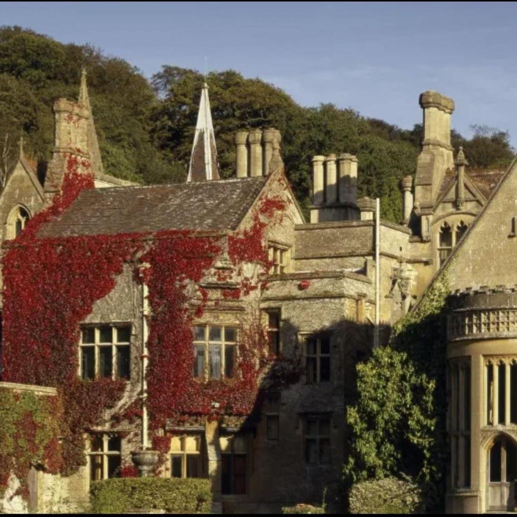 A beautiful spot at Maple Grove where Mr. E. and I went on many a stroll and had so very many lovely conversations, some of which included my dear brother and sister: Mr. and Mrs. Suckling.