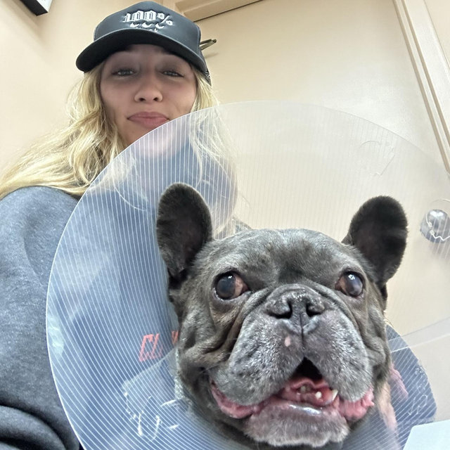Help Us Financially Recover From Stitch Fund