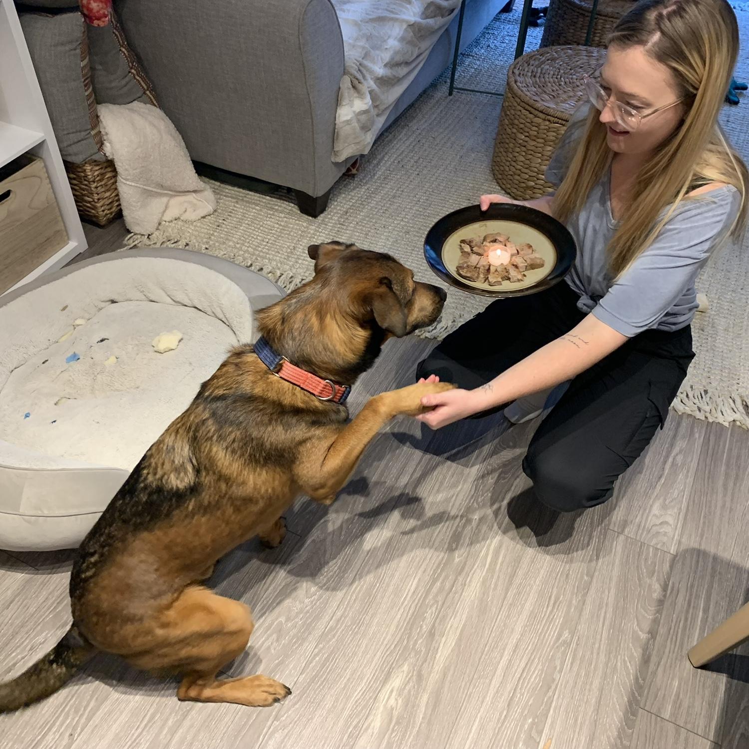 Louie turns 2! 🥳