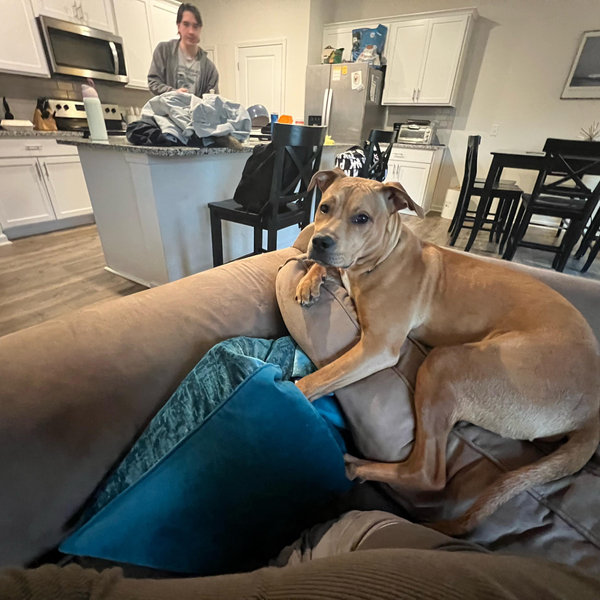 Furniture Cash Fund