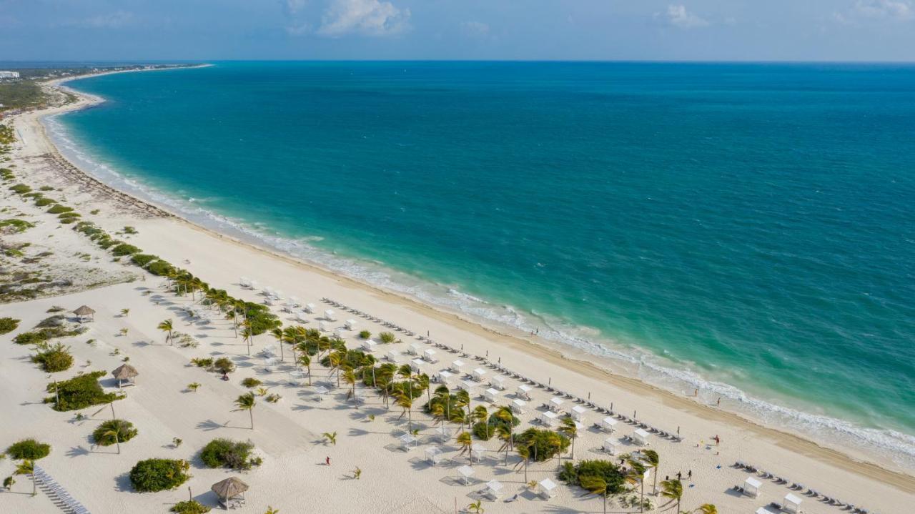 The Wedding Website of Ryan Maroufi and Roza Asadi