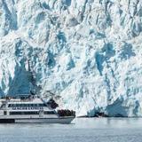 Major Marine Tours