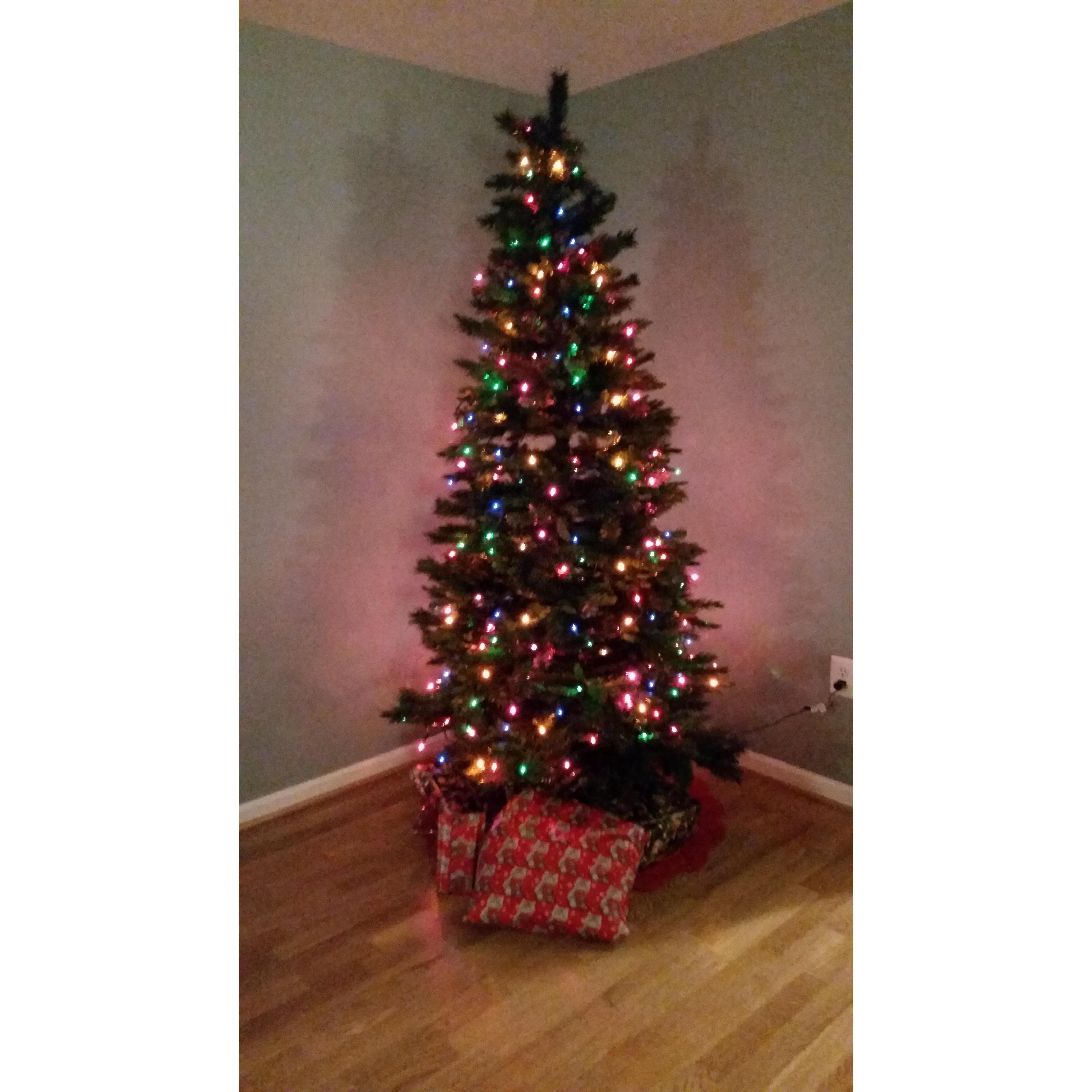 Our very first Christmas tree