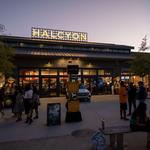 Halcyon