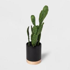 Faux Cactus Plant in Black Pot - Project 62™
