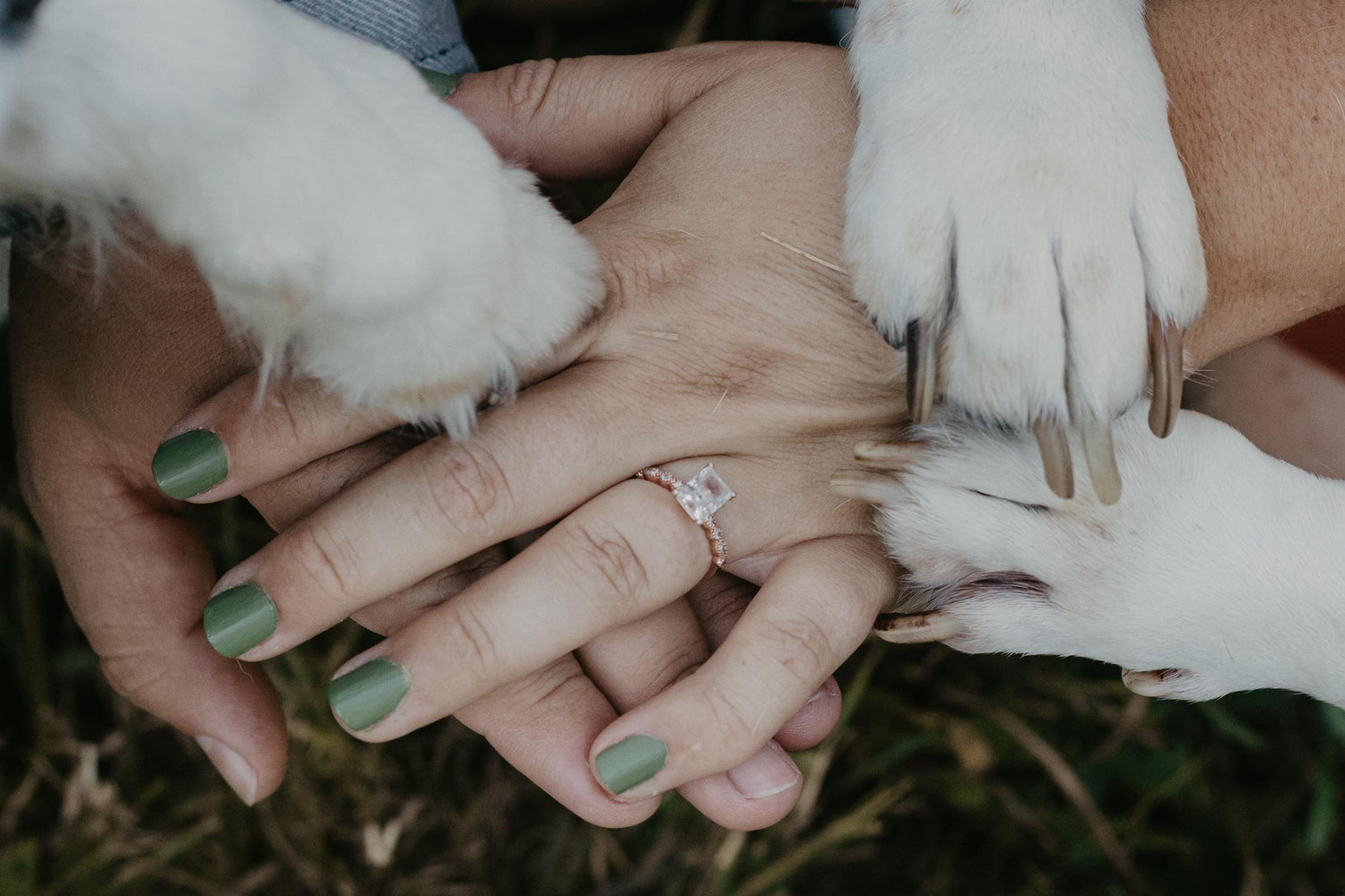 The Wedding Website of Alicia Mulvany and Chipp Mulvany