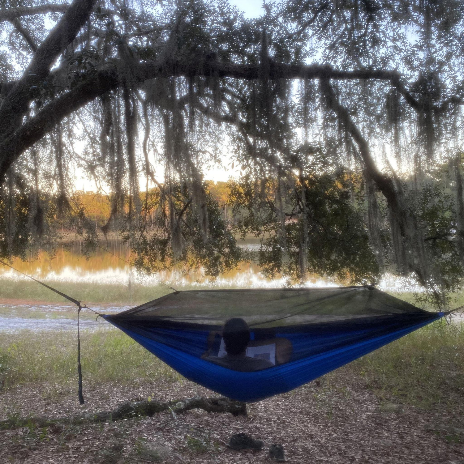 They worked and read books in hammocks in the live oaks along the banks of Dog Lake. This would be where they made their relationship official on September 8th.