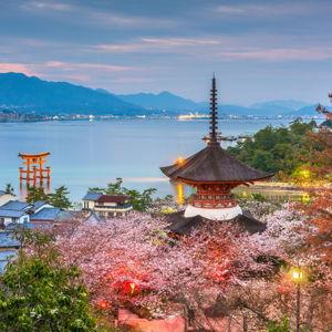 Honeymoon in Japan!