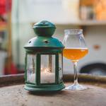 Craft Beer Experience