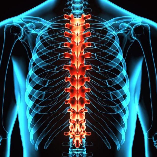 Spinal Cord Research