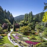 The Butchart Gardens