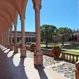 The John and Mable Ringling Museum of Art