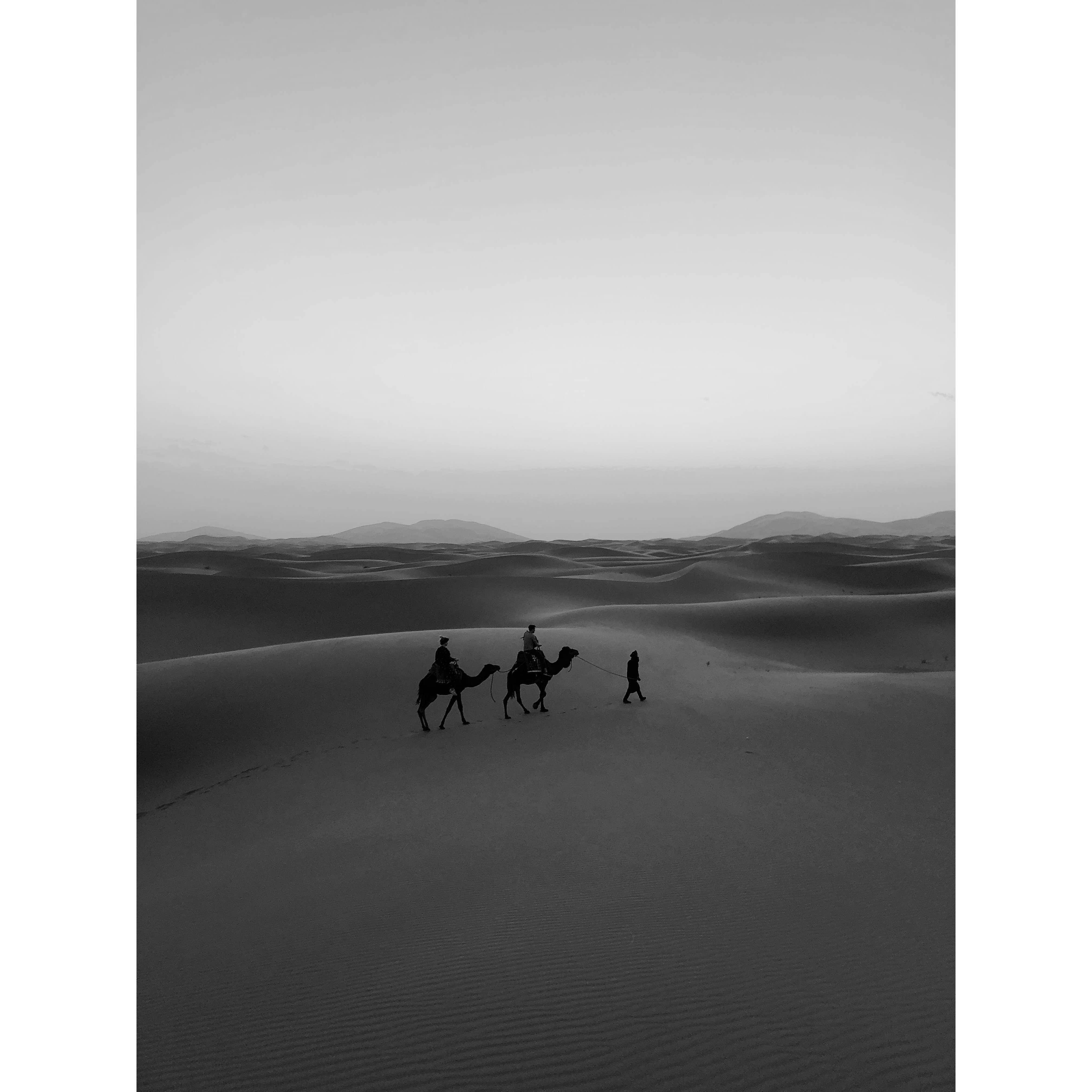 Merzouga, avril 2019