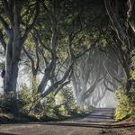 Game of Thrones Tours