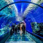 National Aquarium