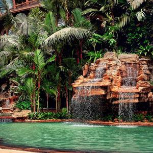 Honeymoon: Costa Rica lodging