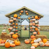 Bloomsbury Farm